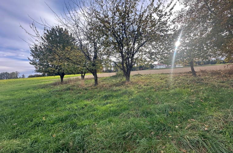 164ceded-f3fd-4981-8759-e2b1f09b0167